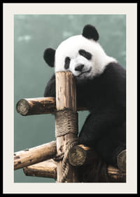 Primo piano fotografico di un panda su un supporto di legno su sfondo verde-2