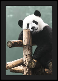 Primer plano fotográfico de un panda sobre un soporte de madera contra un fondo verde-4