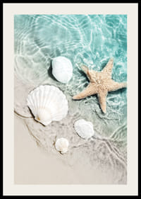 Zdjęcie rozgwiazdy i białych muszli na brzegu-2