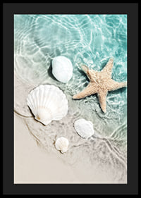 Photograph of starfish and white seashells on the shoreline-4