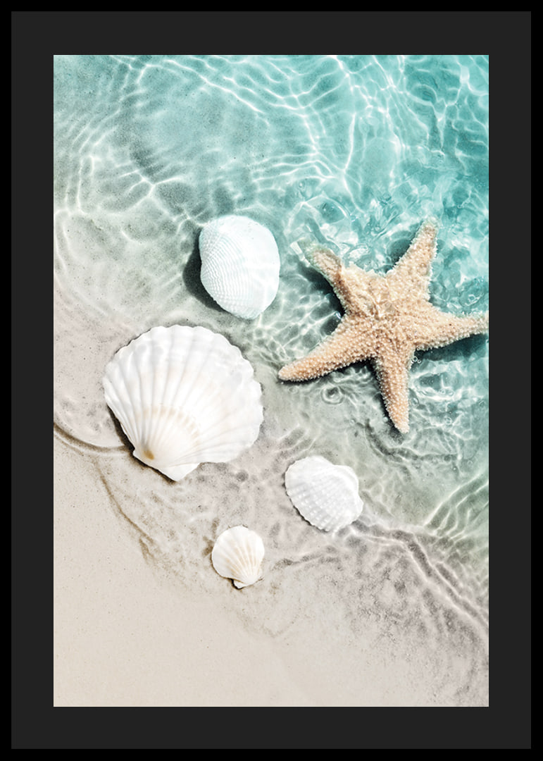 Photograph of starfish and white seashells on the shoreline-12