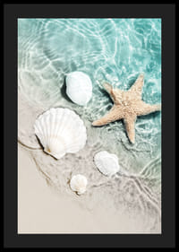 Zdjęcie rozgwiazdy i białych muszli na brzegu-4