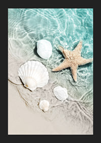 Photograph of starfish and white seashells on the shoreline-5