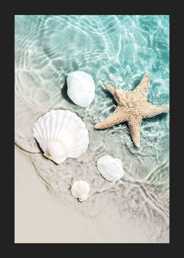 Photograph of starfish and white seashells on the shoreline-12