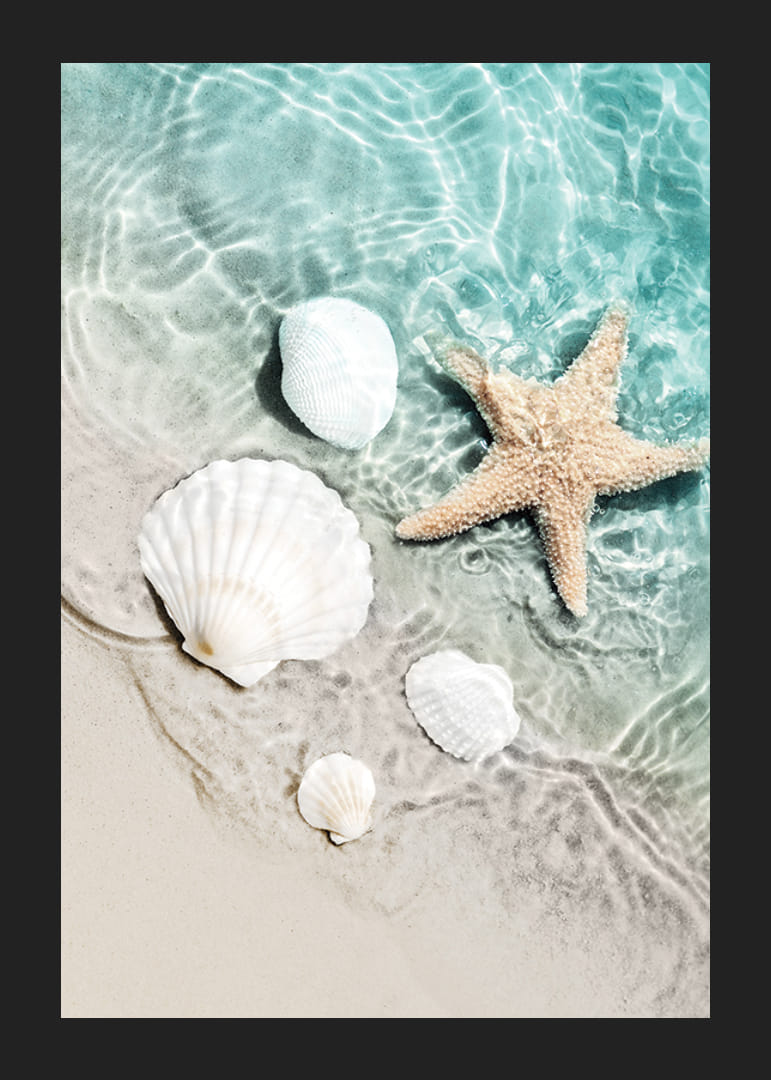 Zdjęcie rozgwiazdy i białych muszli na brzegu-12