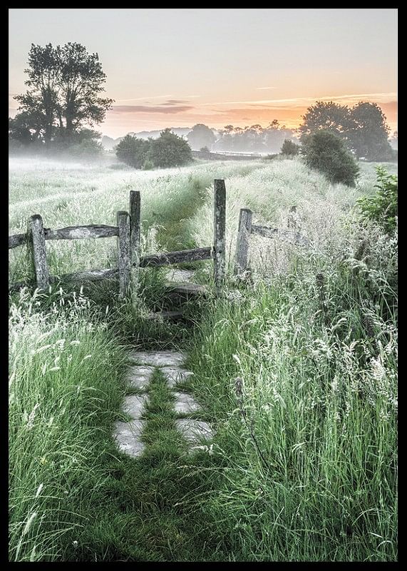 Summer Sunrise-12