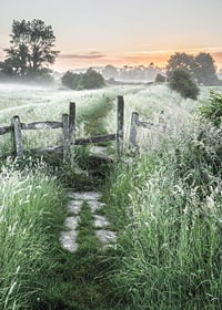 Fotografi av sommaräng med gräs, grind och soluppgång-7