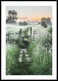 Summer Sunrise-0