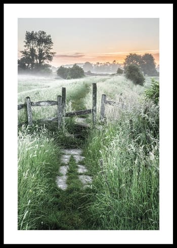 Poster Summer Sunrise