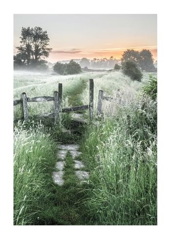 Poster Summer Sunrise