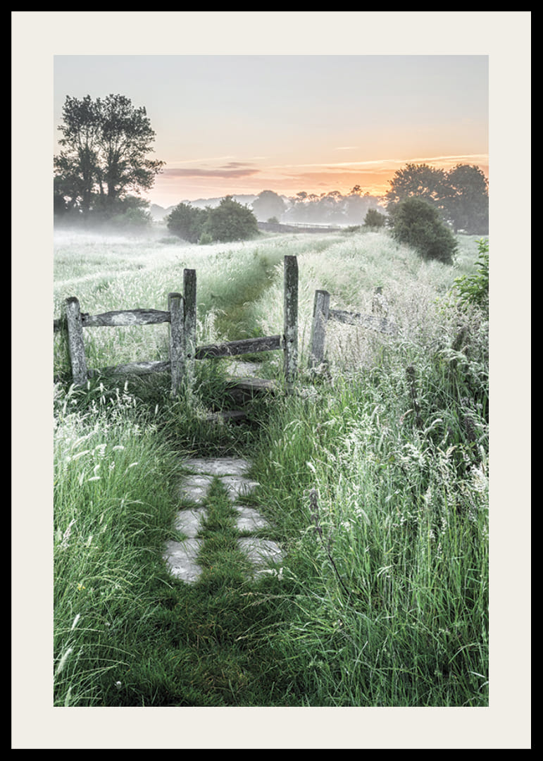 Fotografi av sommaräng med gräs, grind och soluppgång-12