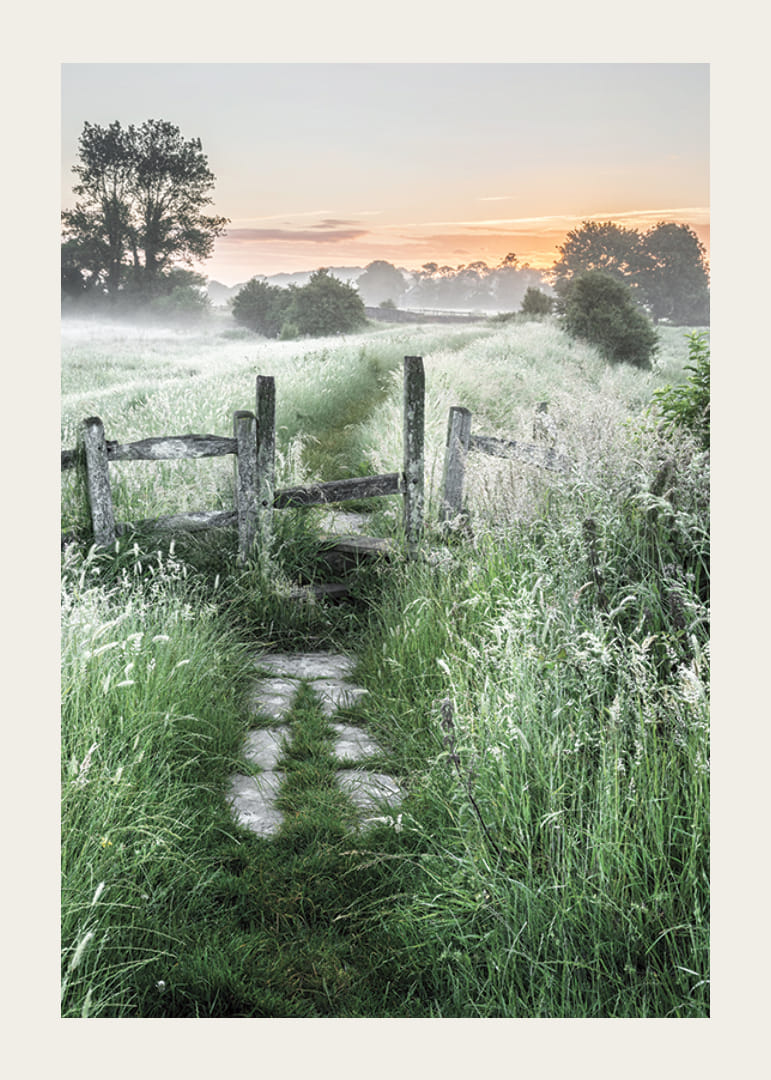 Fotografi av sommaräng med gräs, grind och soluppgång-12