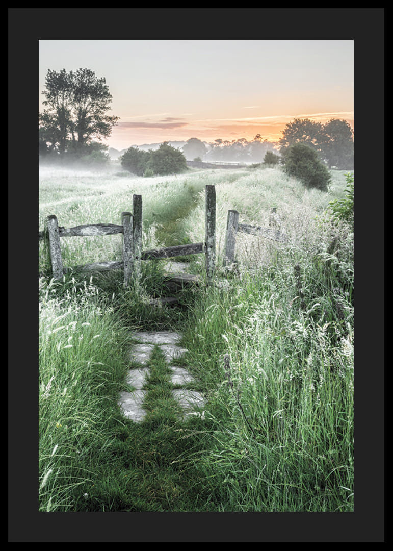 Fotografi av sommaräng med gräs, grind och soluppgång-12