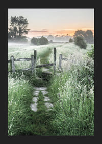 Fotografi av sommaräng med gräs, grind och soluppgång-5