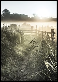 Photographie de paysage avec chemin de terre, clôture et lever de soleil dans le brouillard-6