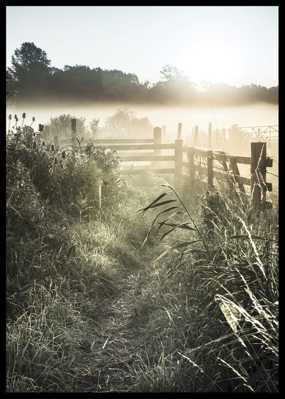 Photographie de paysage avec chemin de terre, clôture et lever de soleil dans le brouillard-12