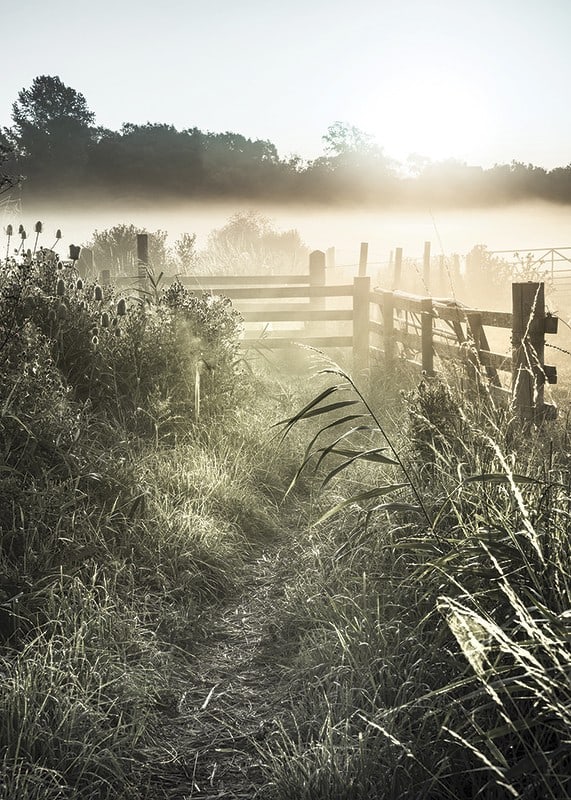 Photographie de paysage avec chemin de terre, clôture et lever de soleil dans le brouillard-12