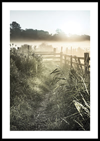 Photographie de paysage avec chemin de terre, clôture et lever de soleil dans le brouillard-0
