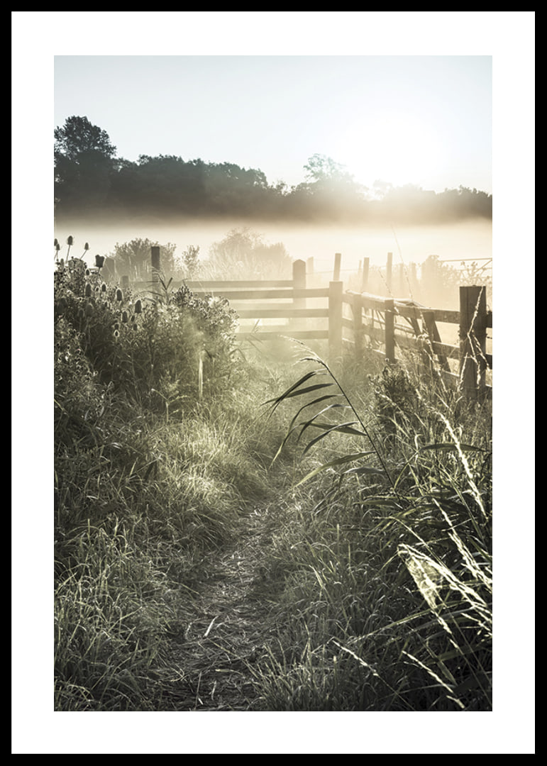 Photographie de paysage avec chemin de terre, clôture et lever de soleil dans le brouillard-12