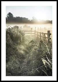 Sunrise Over Countryside-0