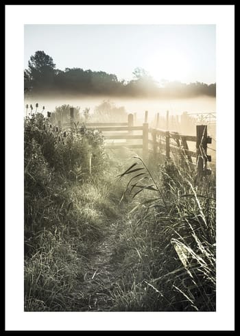 Poster Sunrise Over Countryside