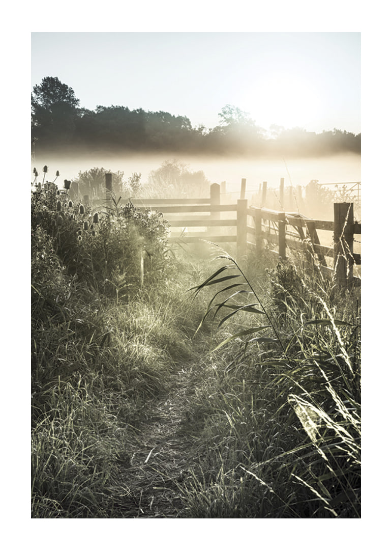 Photographie de paysage avec chemin de terre, clôture et lever de soleil dans le brouillard-12