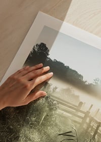 Photographie de paysage avec chemin de terre, clôture et lever de soleil dans le brouillard-9