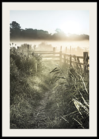 Photographie de paysage avec chemin de terre, clôture et lever de soleil dans le brouillard-2
