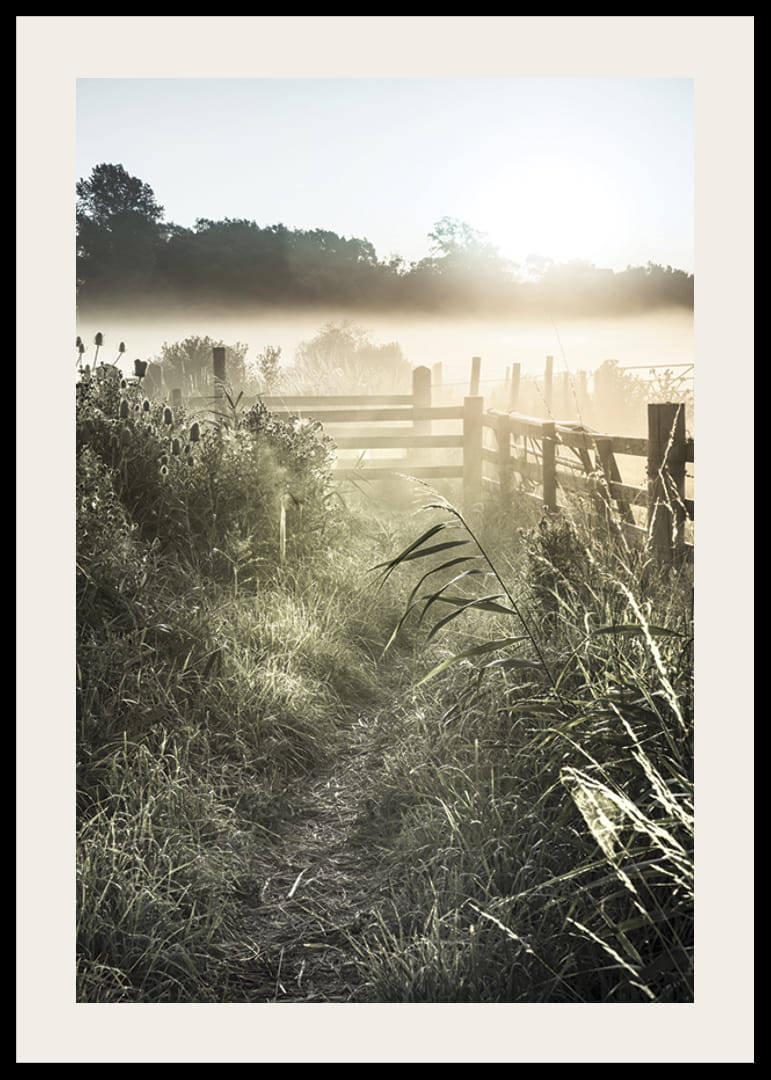 Photographie de paysage avec chemin de terre, clôture et lever de soleil dans le brouillard-12