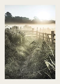 Photographie de paysage avec chemin de terre, clôture et lever de soleil dans le brouillard-3