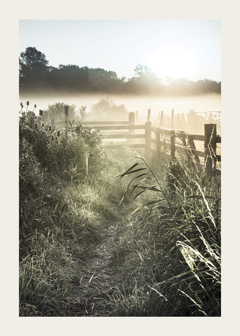 Photographie de paysage avec chemin de terre, clôture et lever de soleil dans le brouillard-12