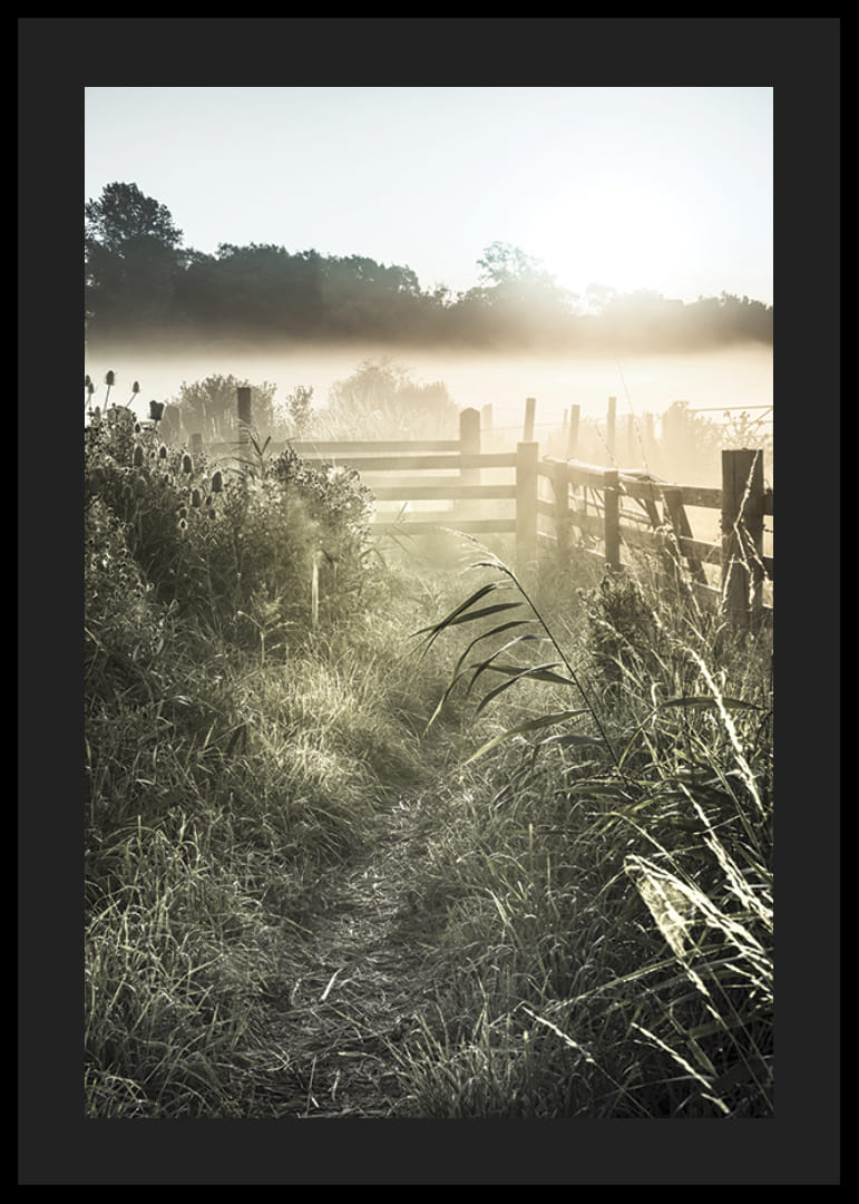 Photographie de paysage avec chemin de terre, clôture et lever de soleil dans le brouillard-12