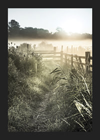Photographie de paysage avec chemin de terre, clôture et lever de soleil dans le brouillard-5