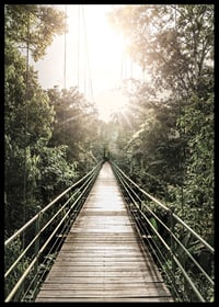 Photography of suspension bridge in jungle with morning sun in Costa Rica-6