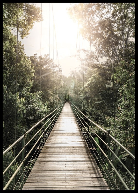 Photography of suspension bridge in jungle with morning sun in Costa Rica-12