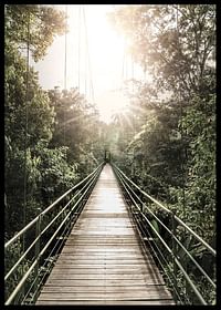 Hanging Bridge In Costa Rica-2