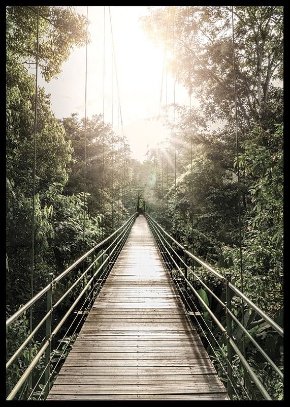 Hanging Bridge In Costa Rica-12