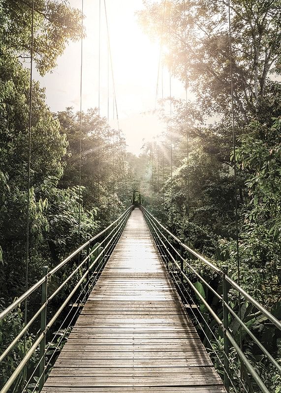 Hanging Bridge In Costa Rica-12