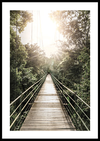 Photography of suspension bridge in jungle with morning sun in Costa Rica-0