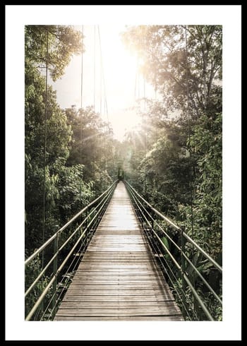 Poster Hanging Bridge In Costa Rica