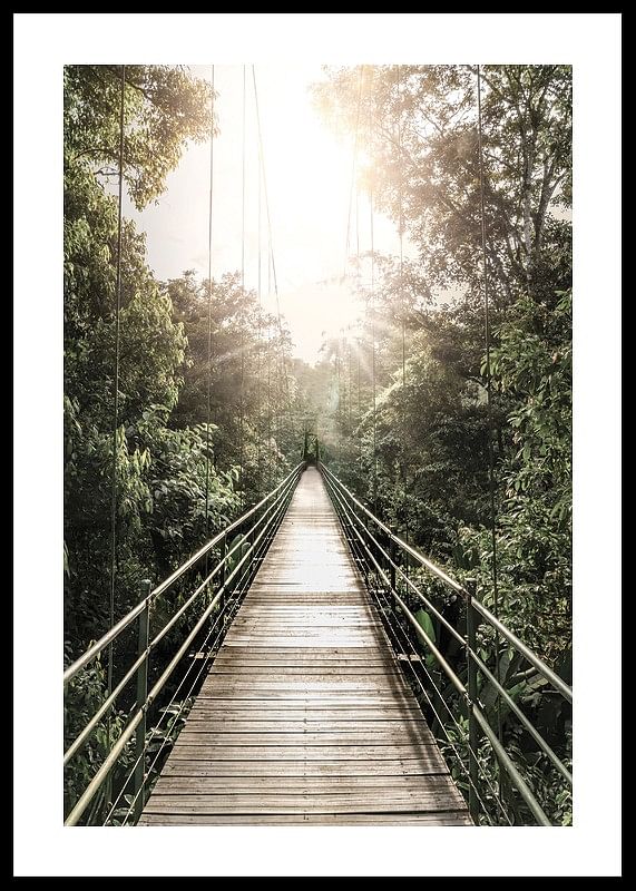 Hanging Bridge In Costa Rica-12