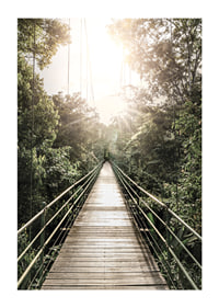 Photography of suspension bridge in jungle with morning sun in Costa Rica-1