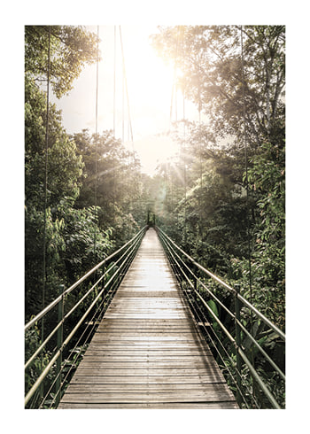 Poster Hanging Bridge In Costa Rica