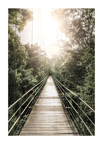 Poster Hanging Bridge In Costa Rica