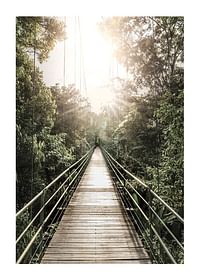 Hanging Bridge In Costa Rica-1