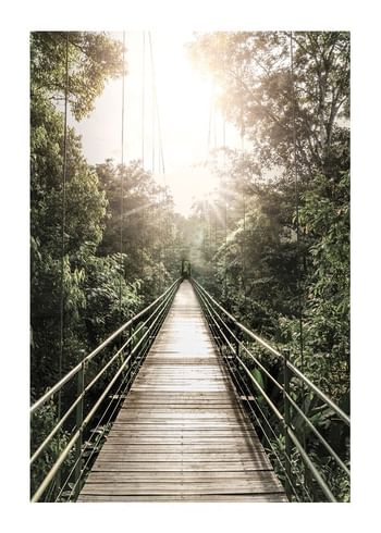 Poster Hanging Bridge In Costa Rica