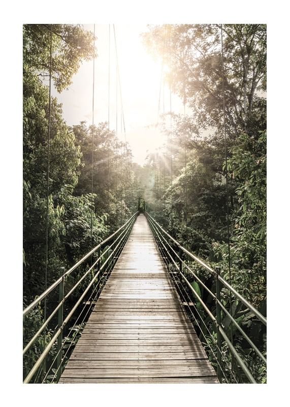 Plagát Hanging Bridge In Costa Rica