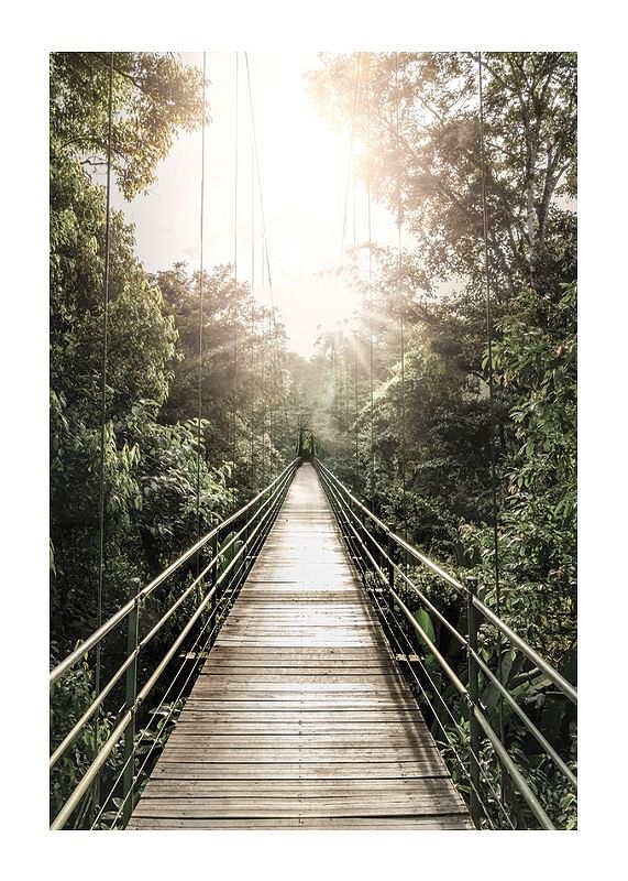 Hanging Bridge In Costa Rica-12