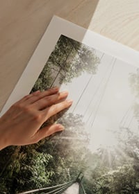 Photography of suspension bridge in jungle with morning sun in Costa Rica-9