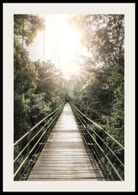 Photography of suspension bridge in jungle with morning sun in Costa Rica-2